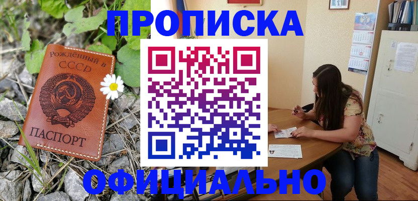 найти адрес прописки в Камышине