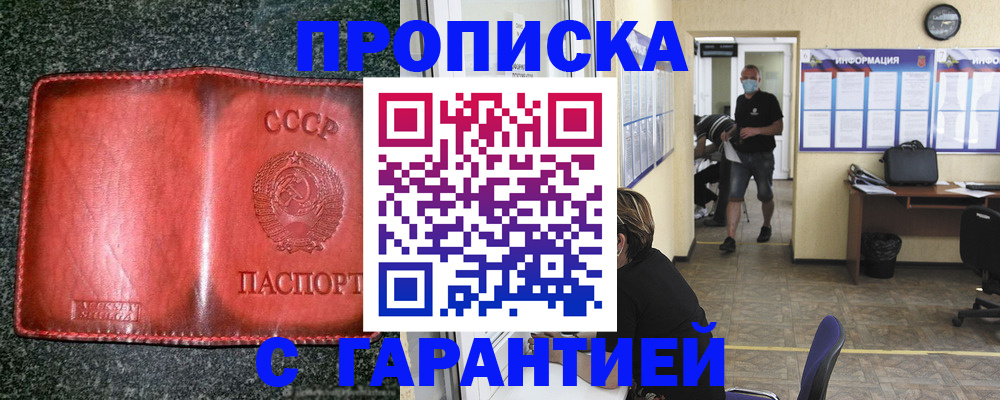 прописка гарантия в Камышине